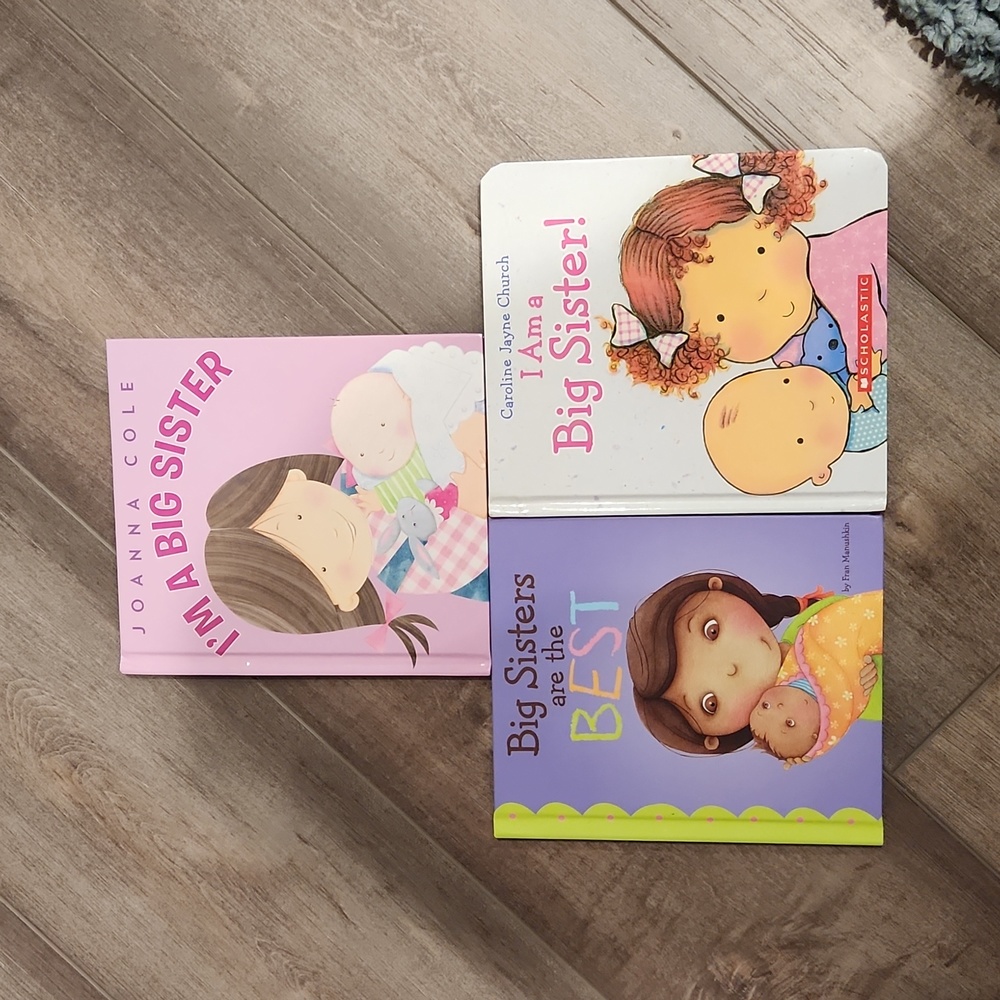 Set of 3 big sister books